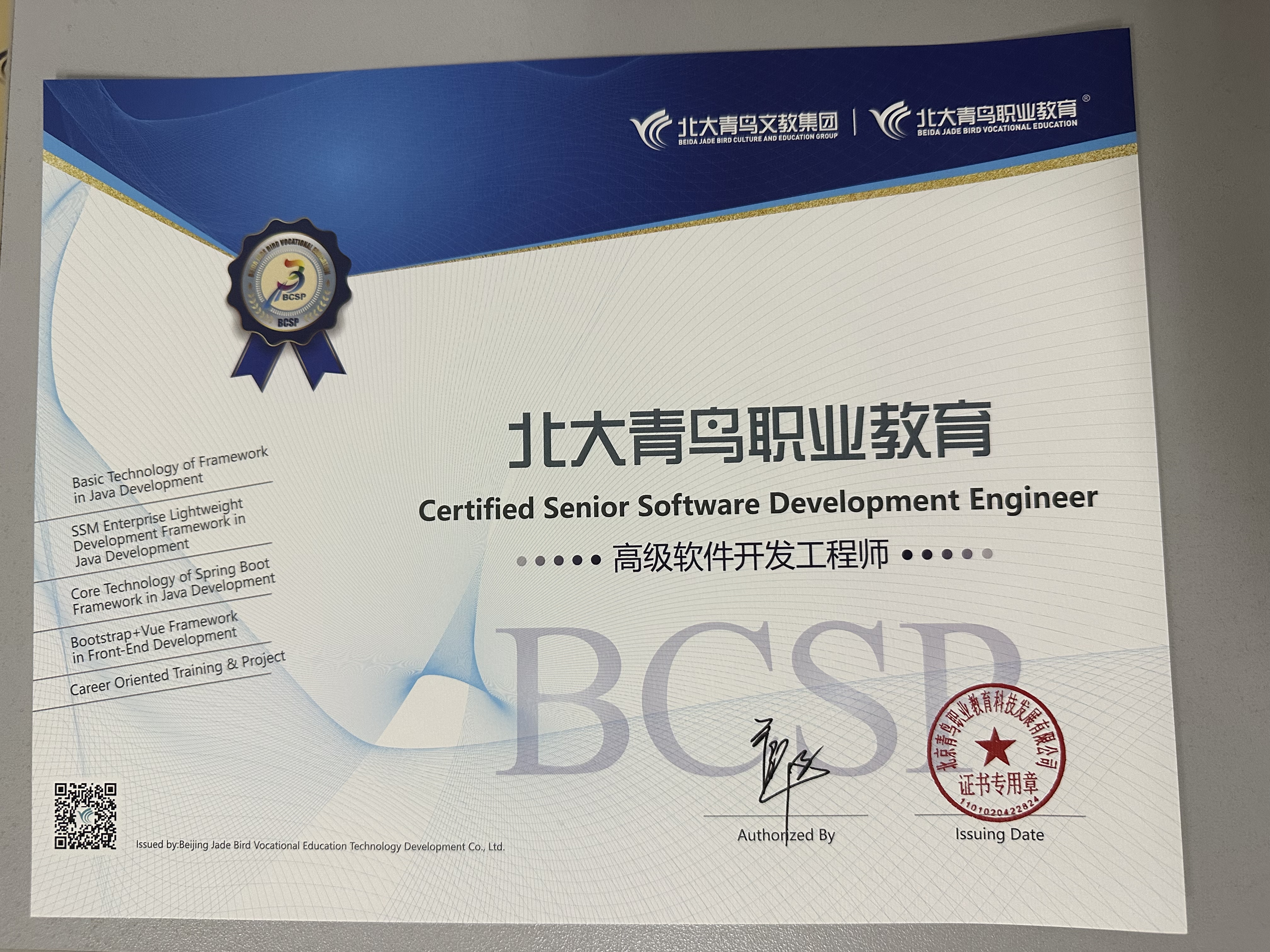 BCSP高级