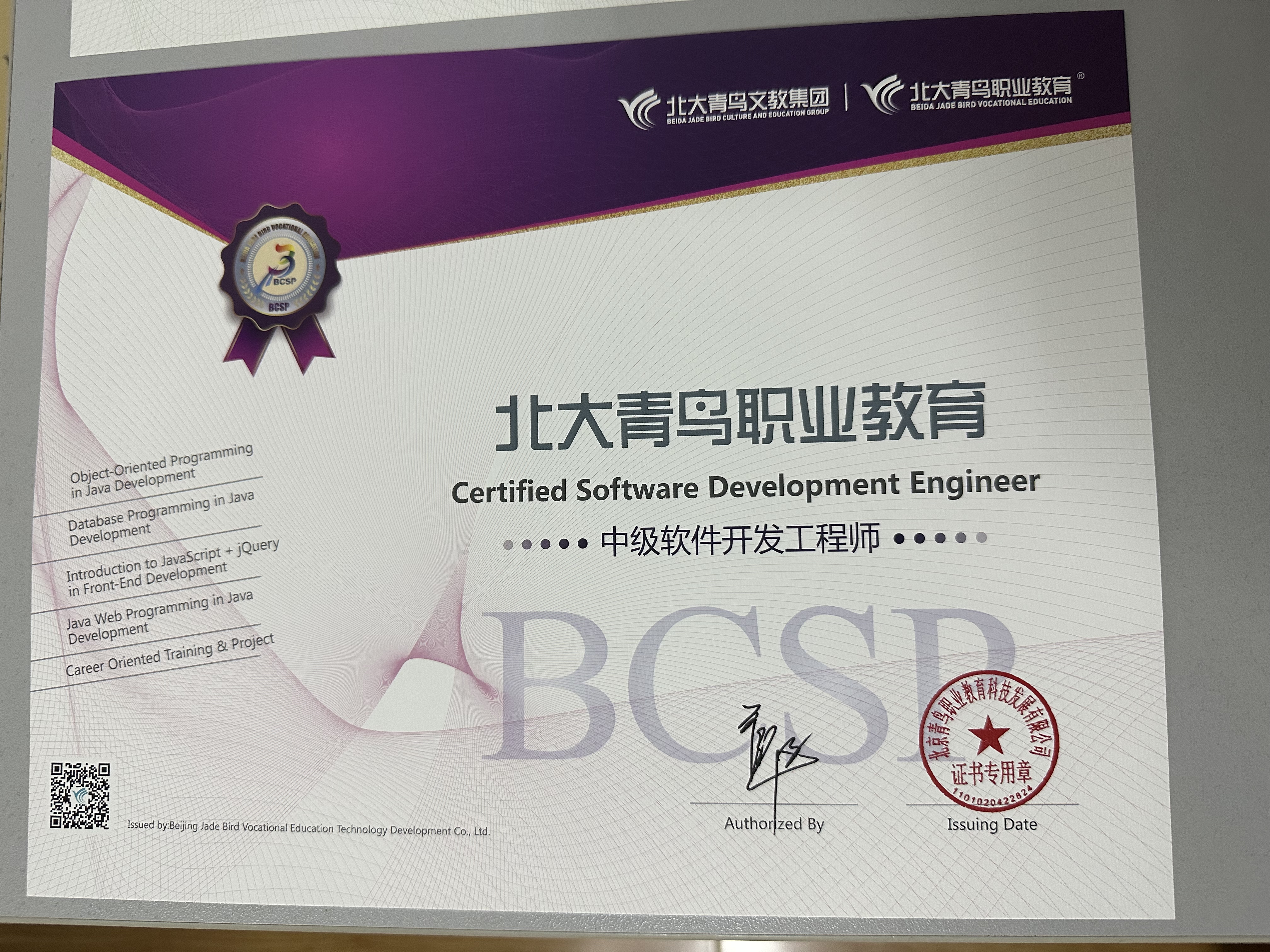 BCSP中级