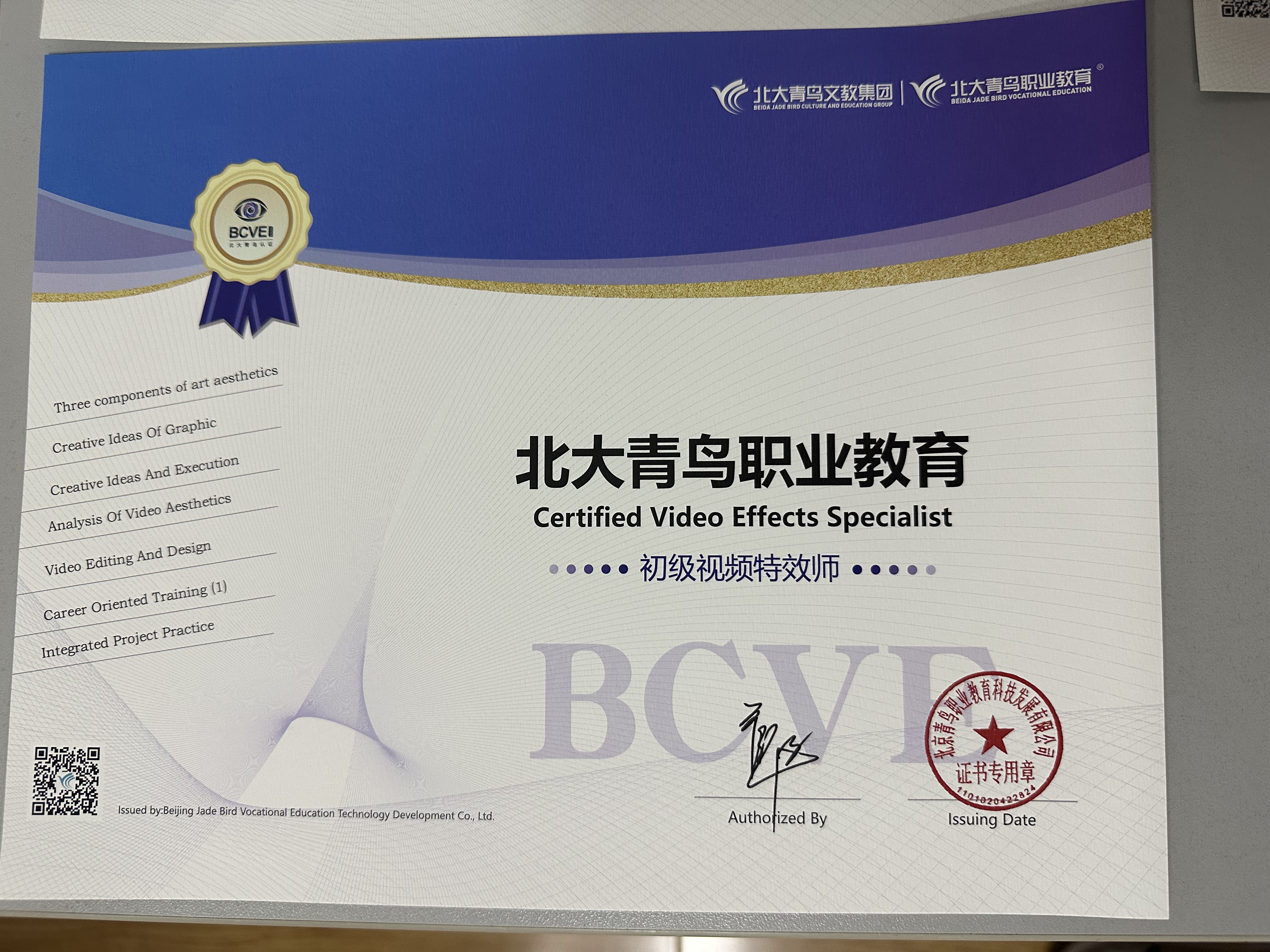 BCVE初级