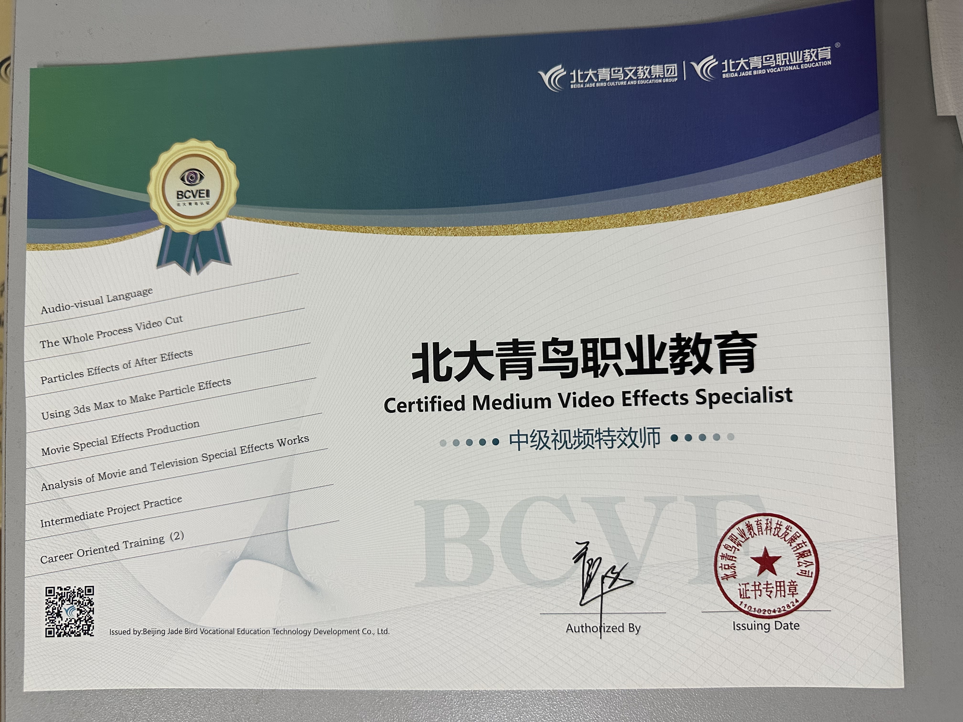 BCVE中级