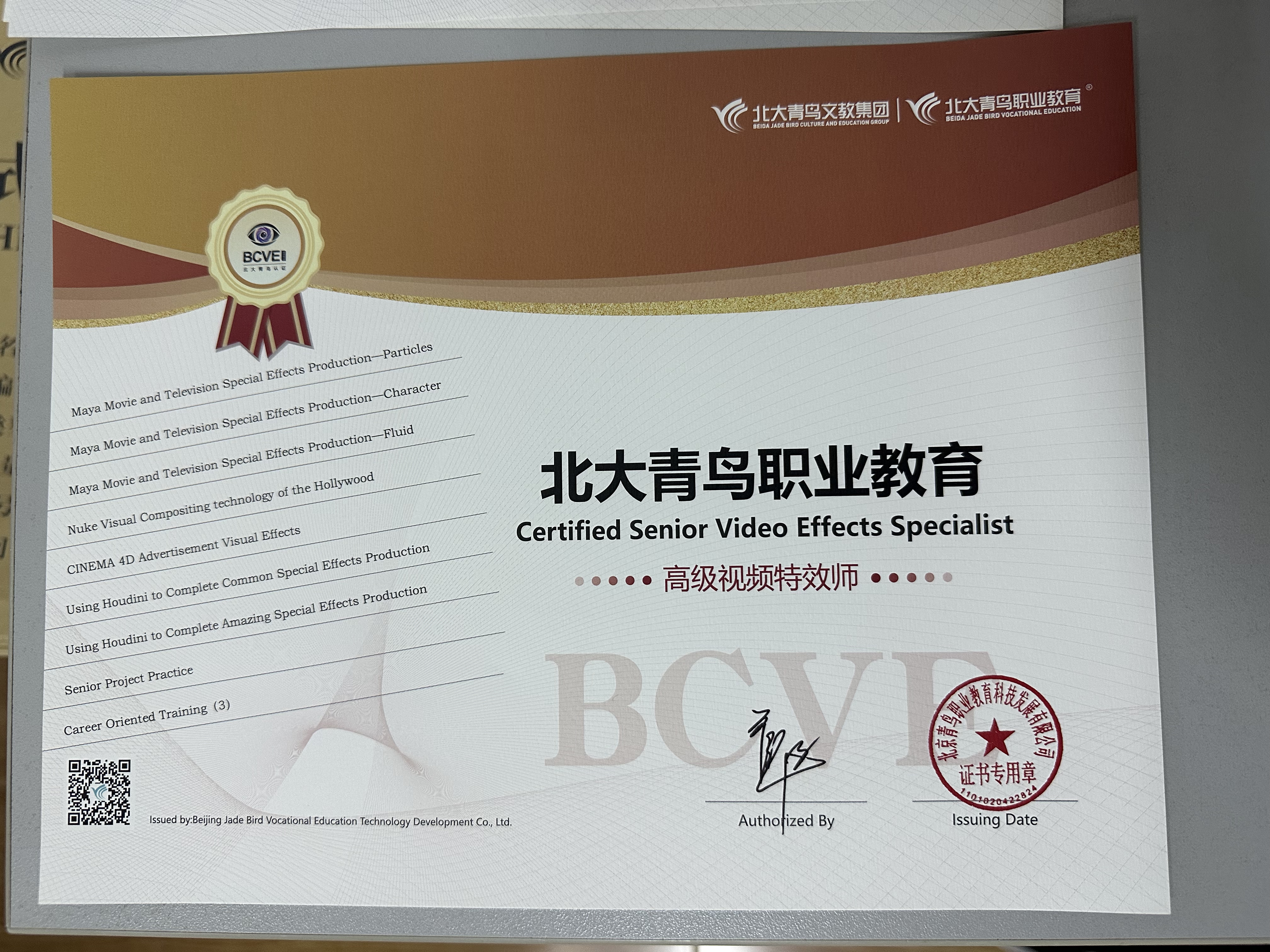 BCVE高级
